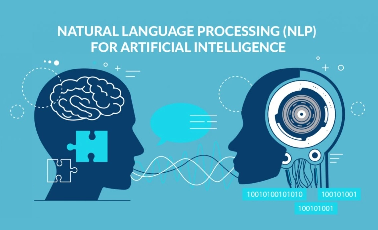 Natural Language Processing (NLP)